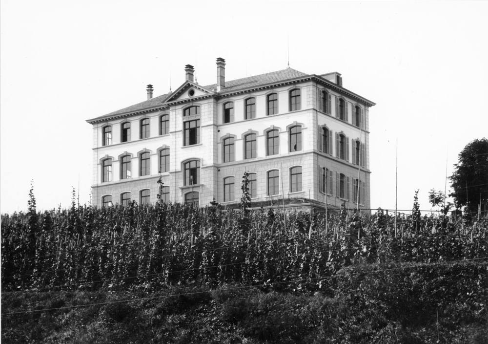 Rätsel 55